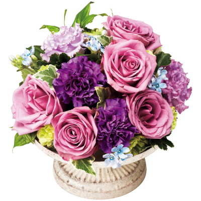 レフルール(B) [紫]