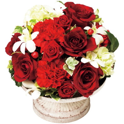 レフルール(B) [赤]