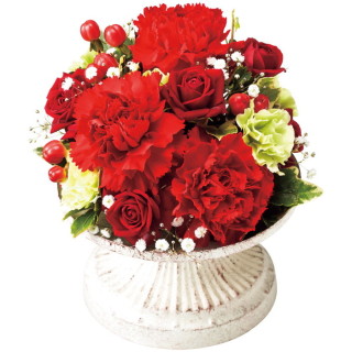 レフルール(A) [赤]