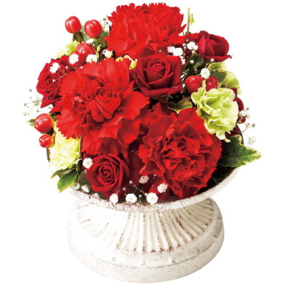 レフルール(A) [赤]