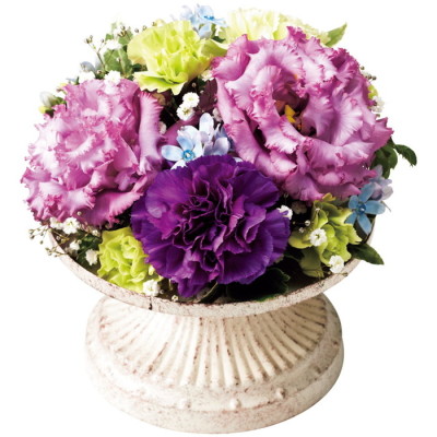 レフルール(A) [紫]