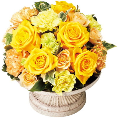 レフルール(B) [黄]