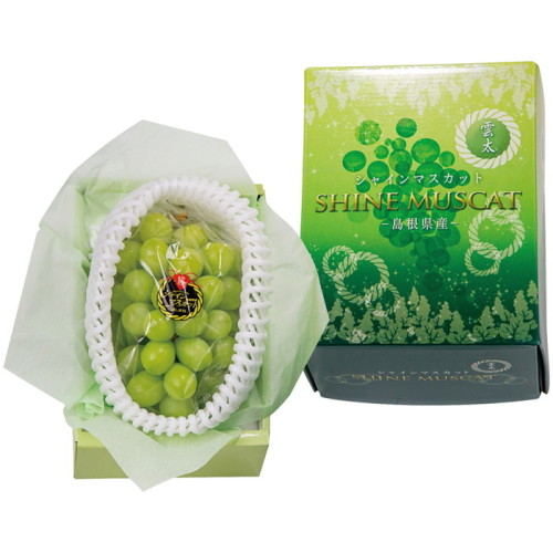 マスカット シャインマスカット(SB5121100)｜阪急からのお歳暮｜阪急百貨店公式