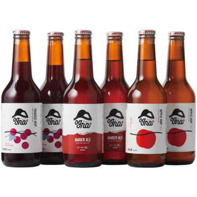 受賞ビール3種6本飲みくらべセット