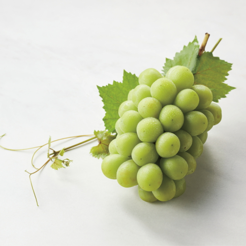 マスカット 長野県｢JAながの・須高地区｣ 貯蔵シャインマスカット(SB5136131)｜阪急