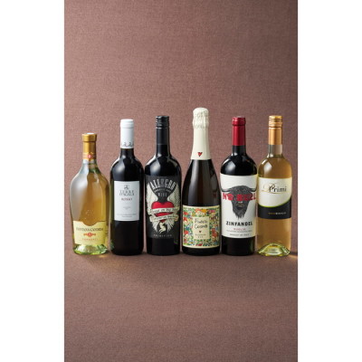 イタリア 人気の旨濃赤ワイン"ノー･ブル"とプロセッコが入ったバラエティイタリアワイン6本セット