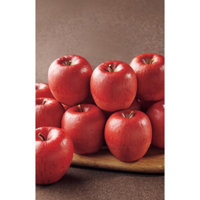 岩手県 賢治りんご