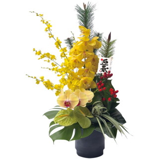 アレンジメント 迎春彩華