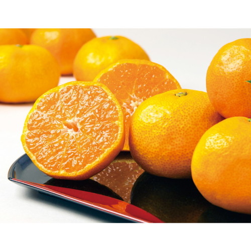 みかん 愛媛県 温州みかん(SJ5133000)｜阪急からのお歳暮｜阪急百貨店公式通販