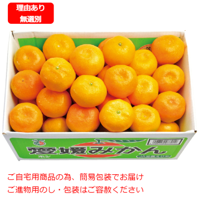愛媛県 温州みかん