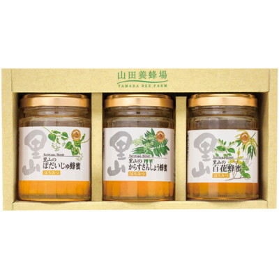 国産蜂蜜3本セット