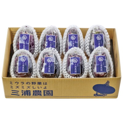 大阪府産水なす