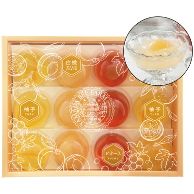 凍らせるはちみつスイーツ(TY6051616)｜阪神からのお中元｜阪神百貨店